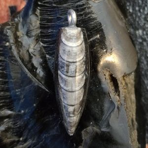 Orthoceras fossil pendant necklace #062